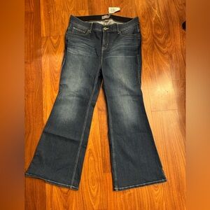 Torrid Bombshell Flare Blue Jeans 18XS